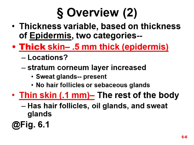 6-6 6-6 § Overview (2) Thickness variable, based on thickness of Epidermis, two categories--